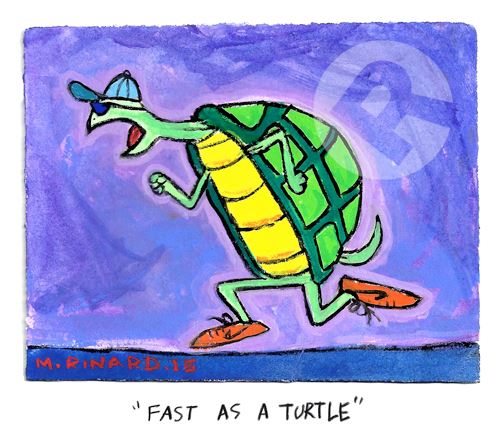 Matt Rinard Fast as a Turtle